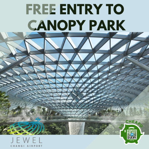 FREE ENTRY TO CANOPY PARK