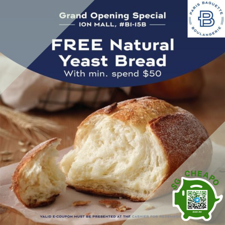 Paris Baguette FREE Natural Yeast Bread