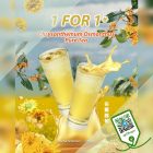 AtTea - 1-FOR-1 Chrysanthemum Osmanthus Pure Tea - sgCheapo