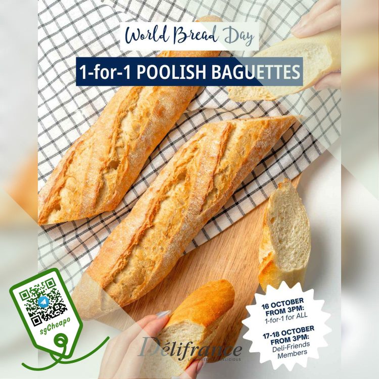 Délifrance - 1-FOR-1 Poolish Baguettes - sgCheapo