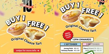 Hokkaido Baked Cheese Tart - 1-FOR-1 Original Cheese Tarts - sgCheapo
