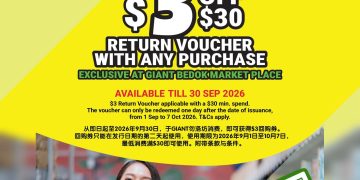 Giant - $3 Return Voucher - sgCheapo